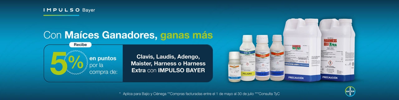 Clavis