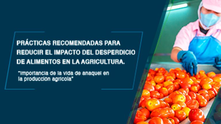 Estrategias Efectivas para Combatir el Desperdicio de Alimentos en la Agricultura