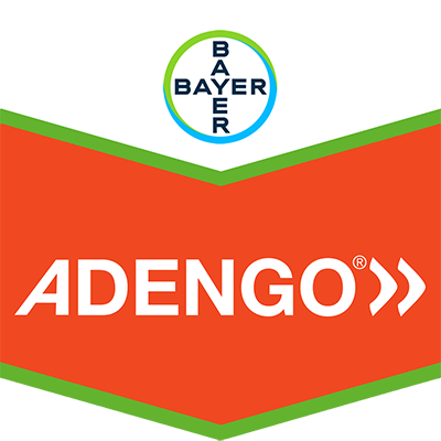 Adengo®