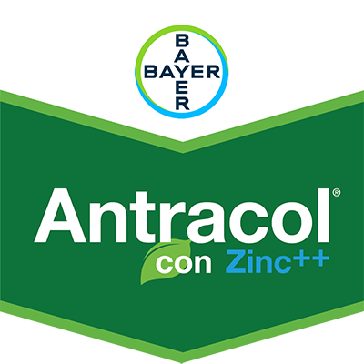 Antracol® con Zinc++