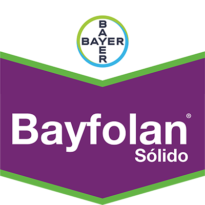 Bayfolan® Sólido