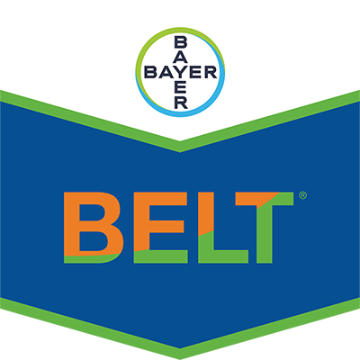Belt®