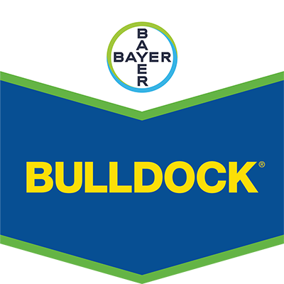 Bulldock®