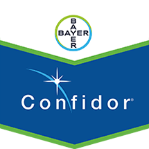 Confidor
