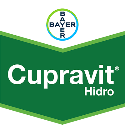 Cupravit® Hidro
