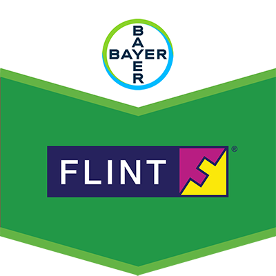 Flint®