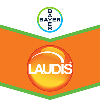 Laudis®