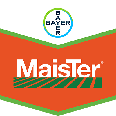 MaisTer®