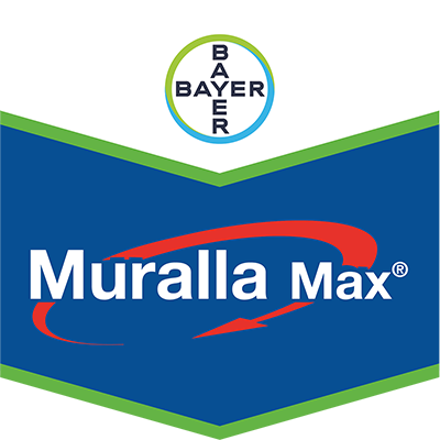 Muralla Max®