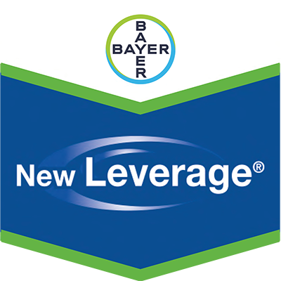 New Leverage®
