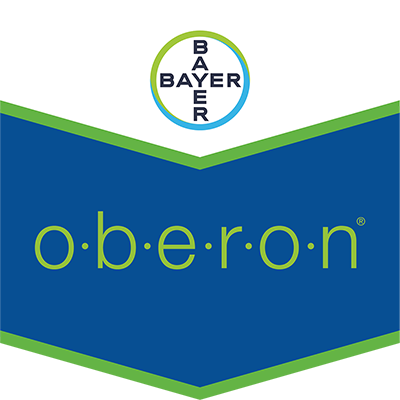 Oberon®