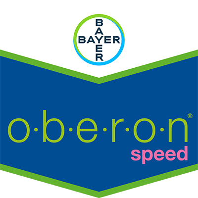 oberon® speed