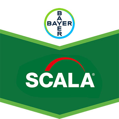 Scala®