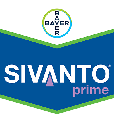 Sivanto® Prime