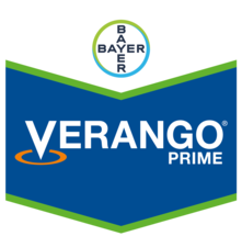 VERANGO PRIME