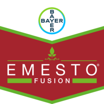 Emesto Silver