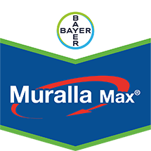 Muralla Max®