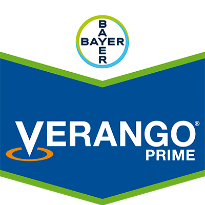 Verango® Prime