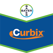 Curbix®