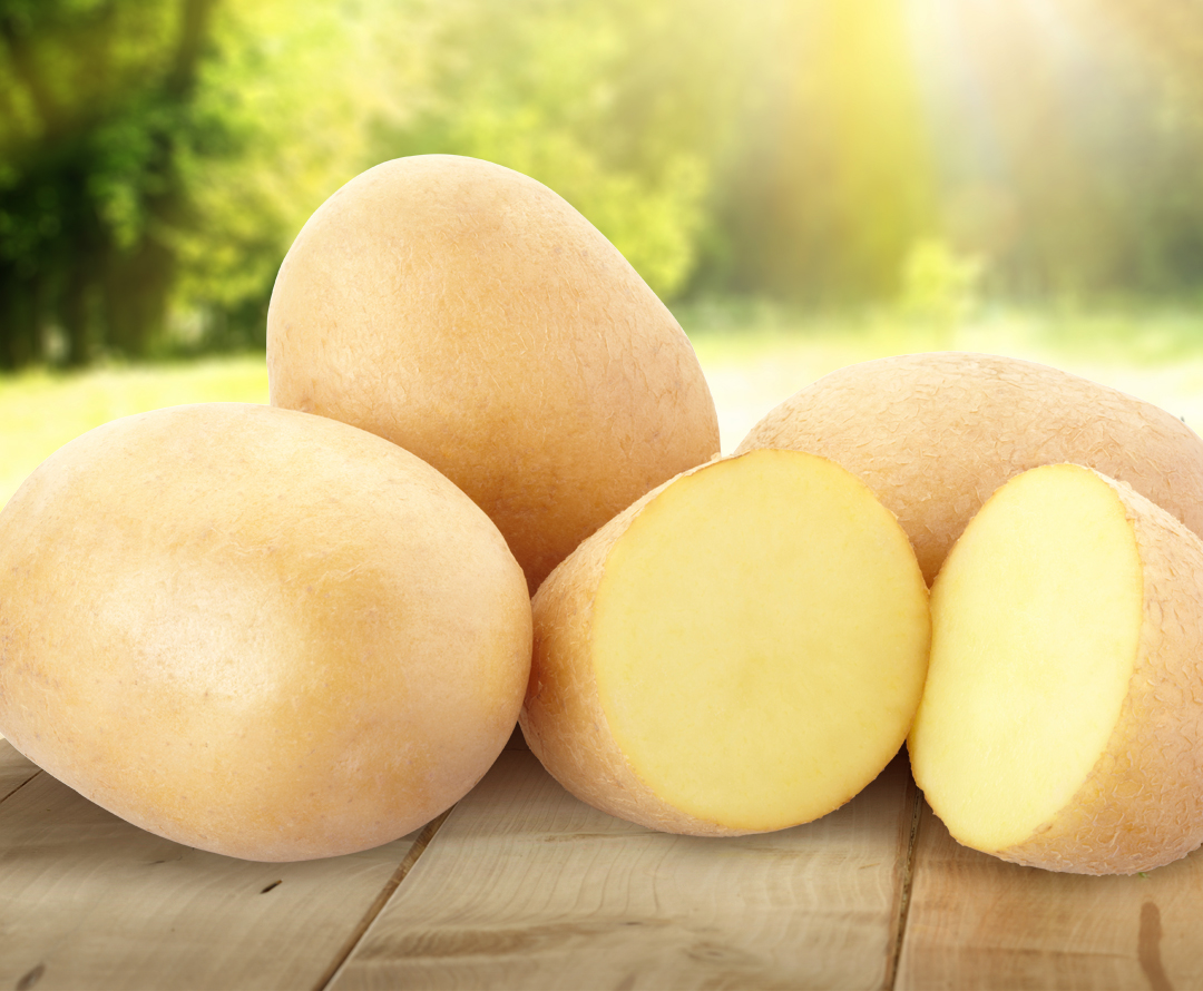 bayer protected chile plants