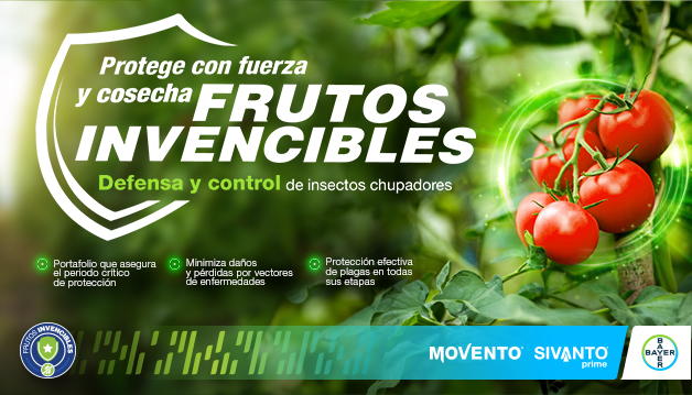 FRUTOS INVENCIBLES