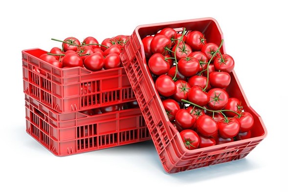 tomates-articulo-importancia-vida-anaquel-agricola