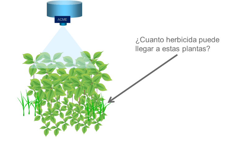 Esquema del efecto sombrilla, el dosel superior impide que el herbicida aplicado llegue a la maleza pequeña.