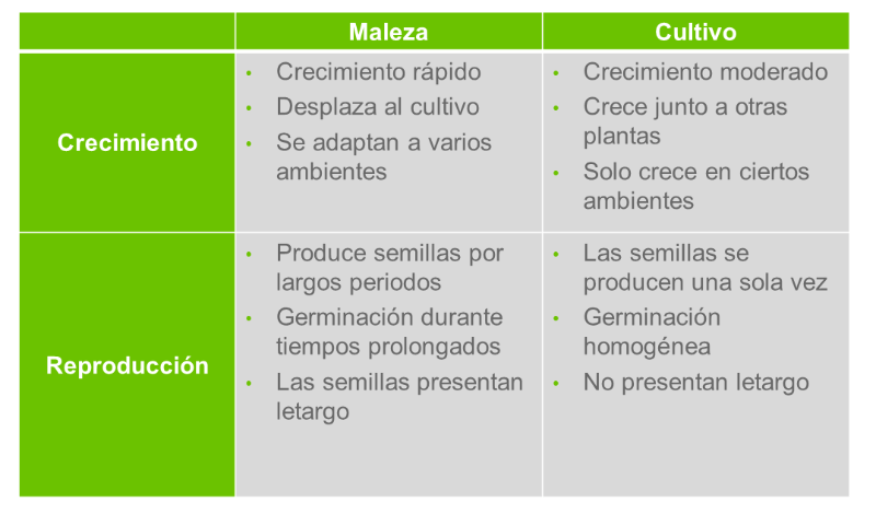 Características de la maleza y el cultivo.